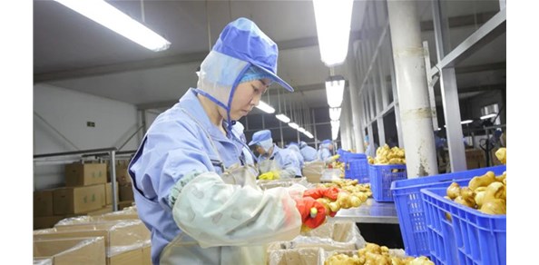 國(guó)貿(mào)基地穩(wěn)步發(fā)展，出口帶富效應(yīng)明顯