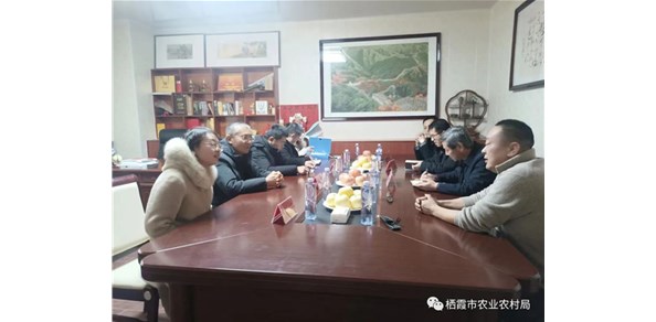 省農業(yè)農村廳檢查組來我市開展農業(yè)標準化生產基地檢查驗收